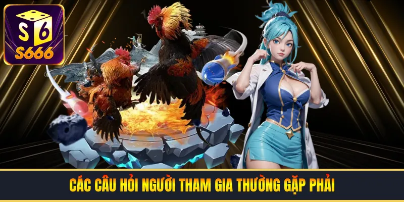 Các câu hỏi người tham gia thường gặp phải