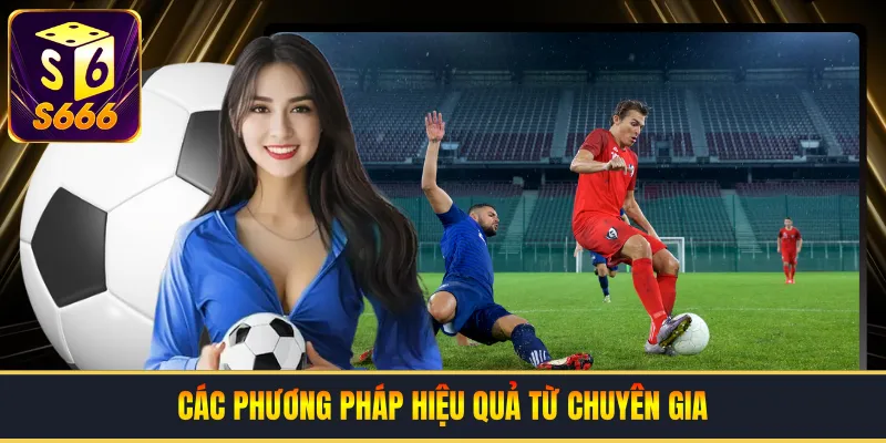 Các phương pháp hiệu quả từ chuyên gia