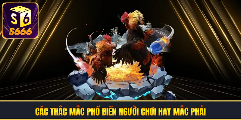 Các thắc mắc phổ biến người chơi hay mắc phải