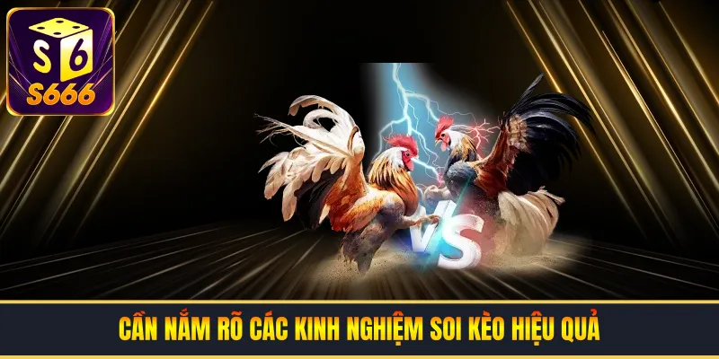 Cần nắm rõ các kinh nghiệm soi kèo hiệu quả
