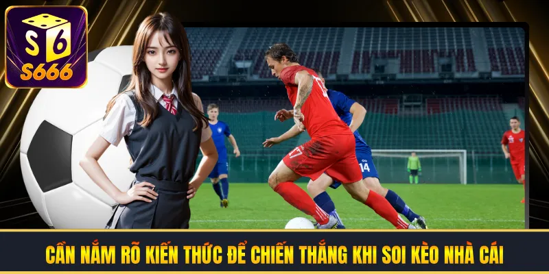 Cần nắm rõ kiến thức để chiến thắng khi soi kèo nhà cái