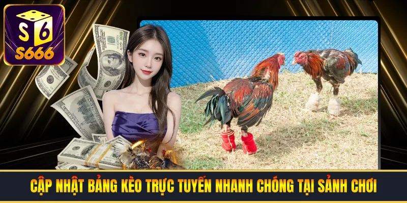 Cập nhật bảng kèo trực tuyến nhanh chóng tại sảnh chơi