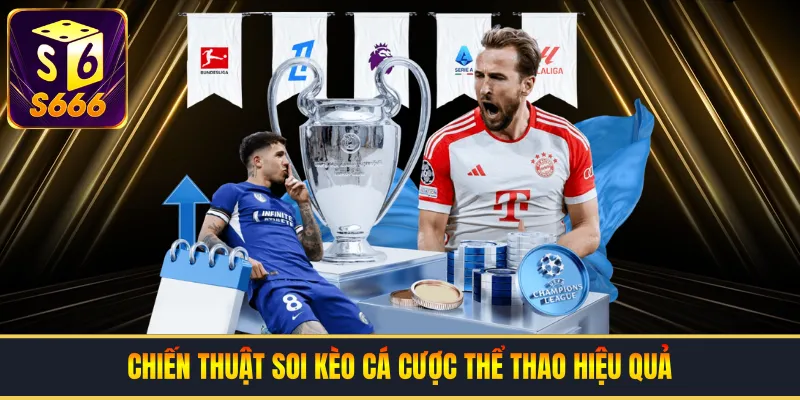 Chiến thuật soi kèo cá cược thể thao hiệu quả
