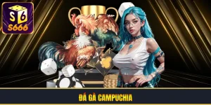 Đá Gà Campuchia | Bí Quyết Cá Cược Và Kinh Nghiệm Vàng