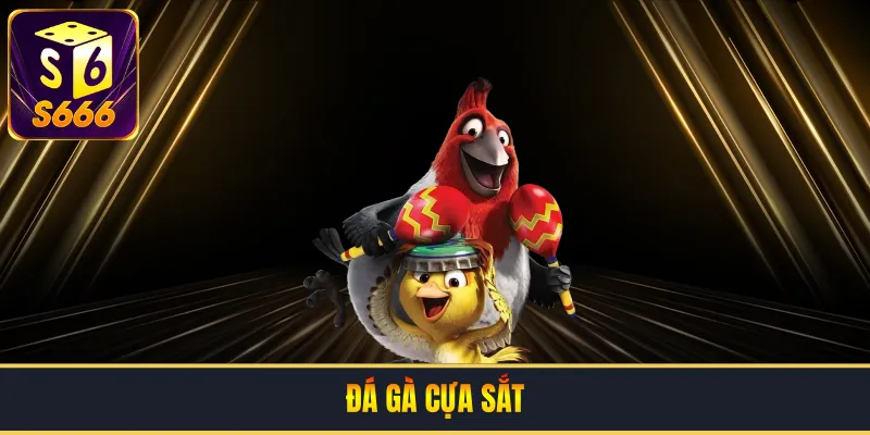 Đá Gà Cựa Sắt