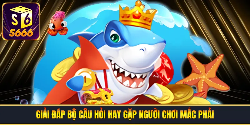 Giải đáp bộ câu hỏi hay gặp người chơi mắc phải
