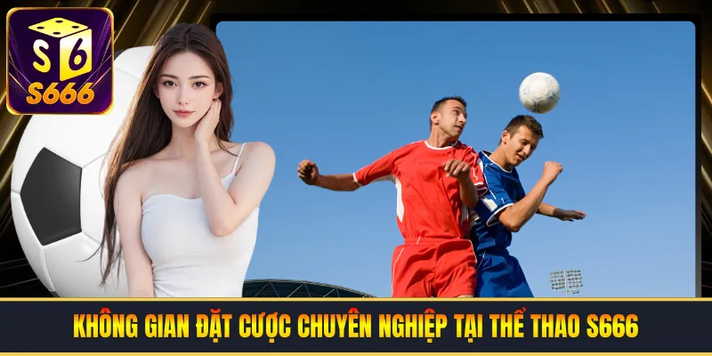 Không gian đặt cược chuyên nghiệp tại thể thao S666