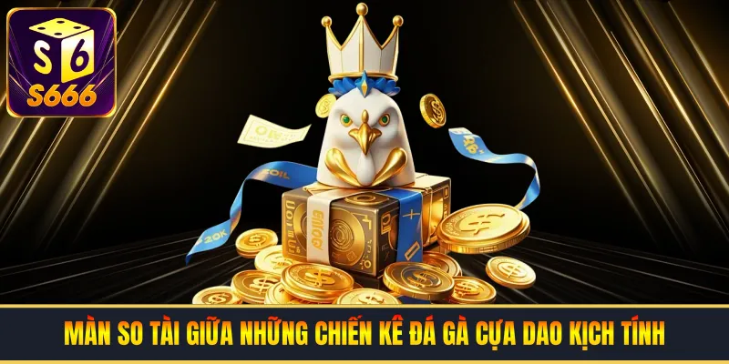 Màn so tài giữa những chiến kê đá gà cựa dao kịch tính