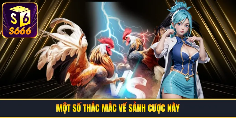 Một số thắc mắc về sảnh cược này