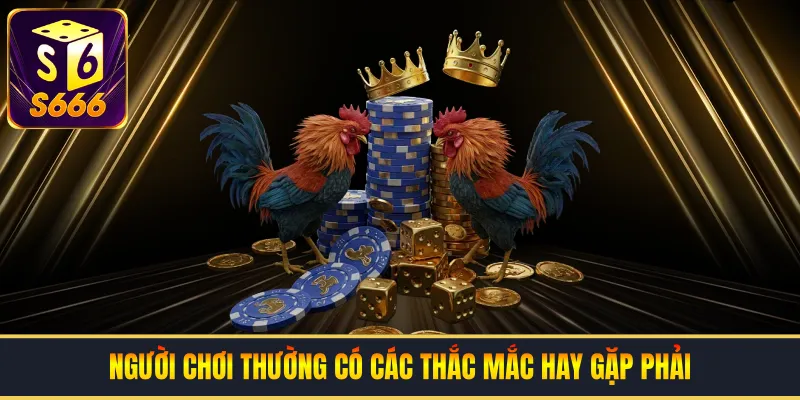 Người chơi thường có các thắc mắc hay gặp phải