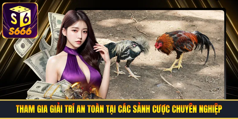 Tham gia giải trí an toàn tại các sảnh cược chuyên nghiệp