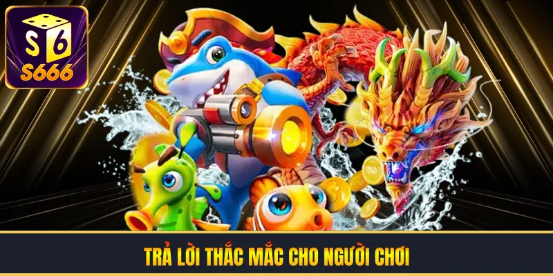 Trả lời thắc mắc cho người chơi