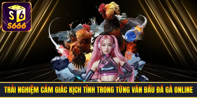 Trải nghiệm cảm giác kịch tính trong từng ván đấu đá gà online