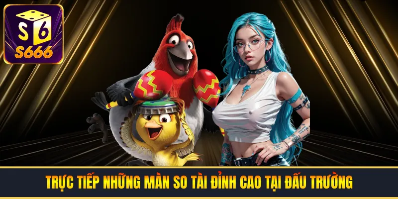 Trực tiếp những màn so tài đỉnh cao tại đấu trường đá gà Campuchia